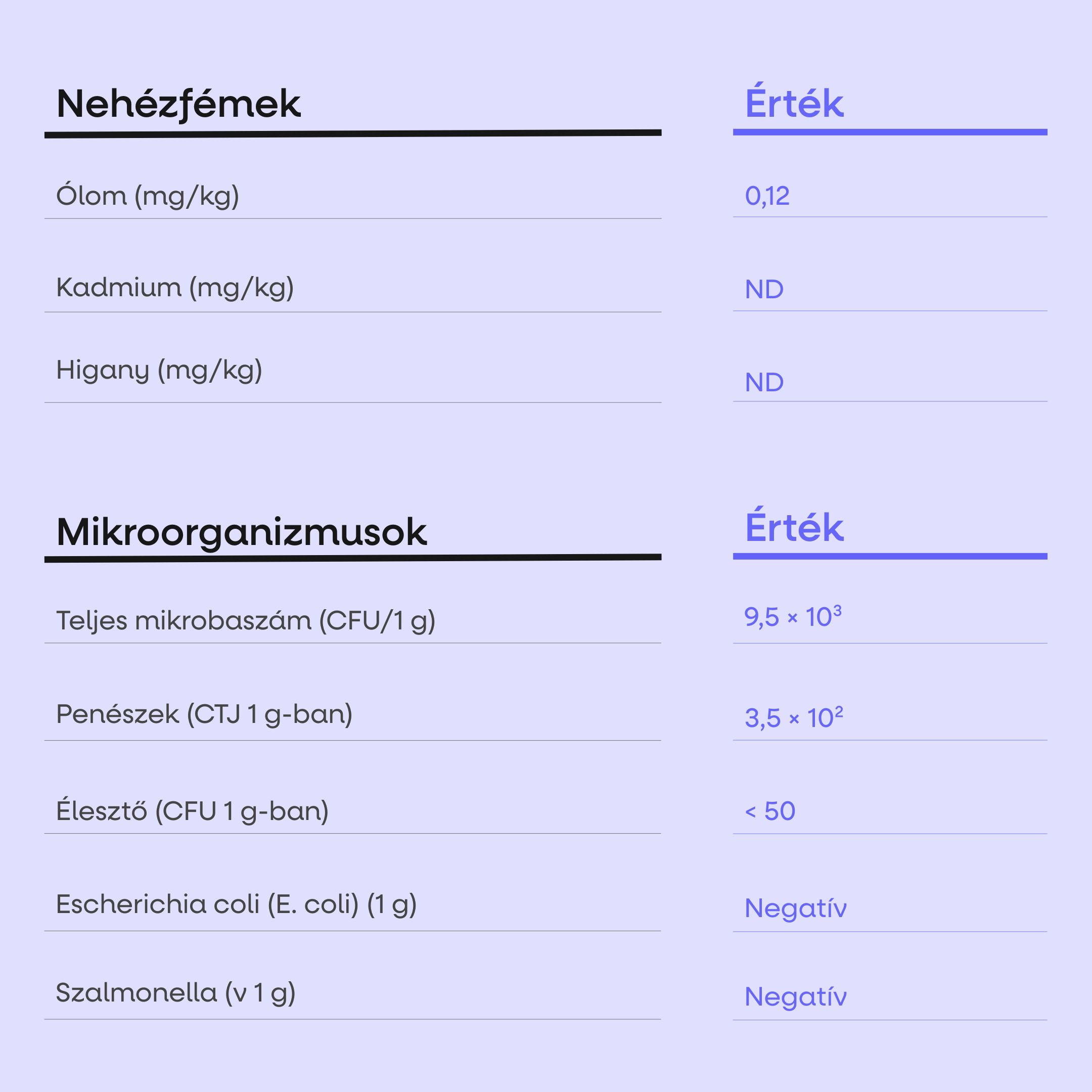 (Maďarština) - 2025-09-25T154148.318